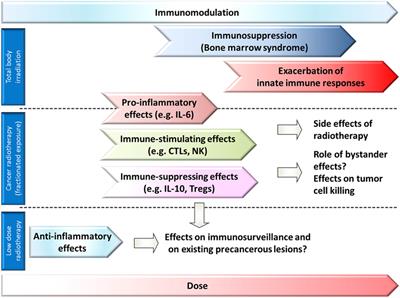 Intercellular Communication of Tumor Cells and Immune Cells after Exposure to Different Ionizing Radiation Qualities